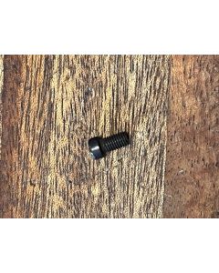 Warne Screw for Mount